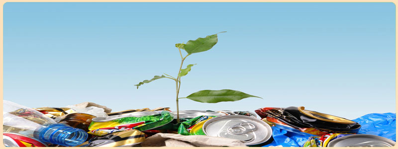 Why is Recycling so Important: Home page